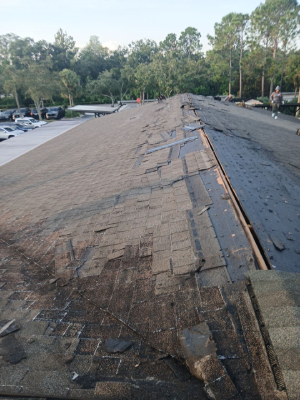 Three Signs You Need Professional Roof Repair