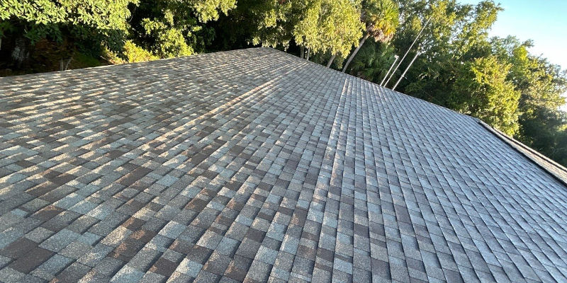 Architectural Roof Shingles in Riverview, Florida
