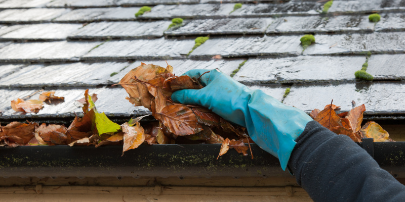 Don’t Ignore These Four Clues That Signal You Need Immediate Gutter Repair Services