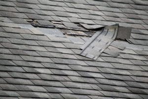 Is Your Roof at Risk? Four Warning Signs You Need Roof Repair