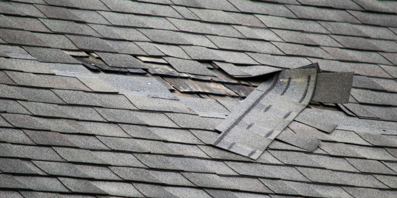 Is Your Roof at Risk? Four Warning Signs You Need Roof Repair